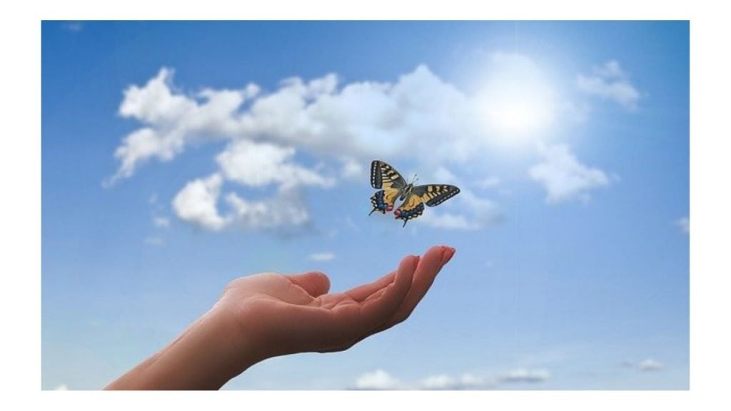 Karyn Heartsmith Henfrey  Wonderful world of wellbeing