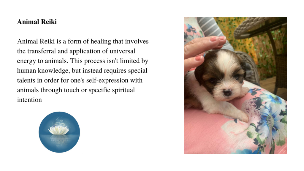 Animal reiki. light from within. wonderful world of wellbeing. animal therapy